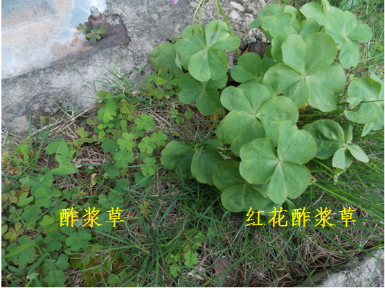 图片11.png