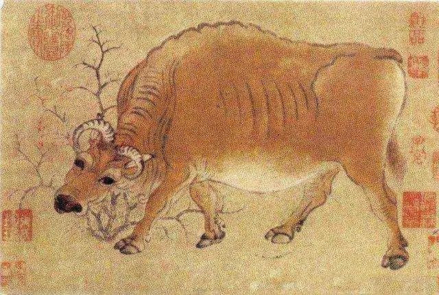 圖片